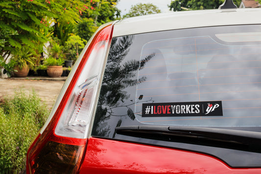 # I Love Yorkes Sticker